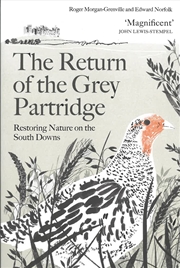 Buy Return of the Grey Partridge