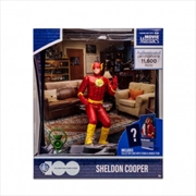 Buy Movie Maniacs: Sheldon As The Flash (The Big Bang Theory)