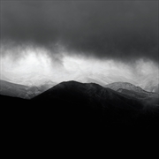 Buy The Fundamental Nature Of Bein