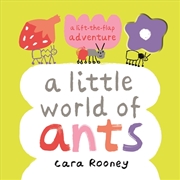 Buy A Little World Of Ants