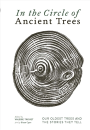 Buy In The Circle Of Ancient Trees