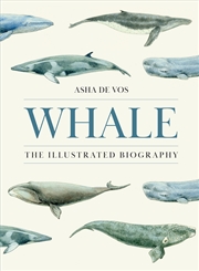 Buy Whale