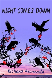 Buy Night Comes Down