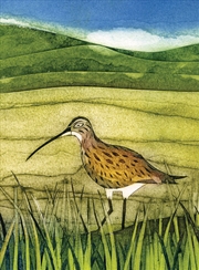 Buy Wild Birds Pocket Notebooks - Curlew