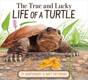 Buy The True and Lucky Life Of a Turtle