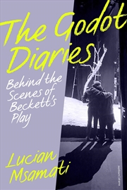 Buy The Godot Diaries: Behind the Scenes of Beckett's Play