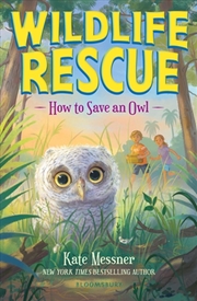 Buy How to Save an Owl