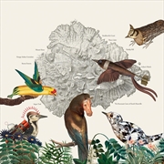 Buy The Birds of Marsville