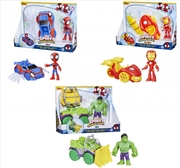 Buy Spidey and His Amazing Friends: Character & Vehicle Assortment 1 (SENT AT RANDOM)