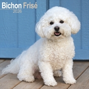 Buy Bichon Frise Calendar 2026 Square Dog Breed Wall Calendar - 16 Month