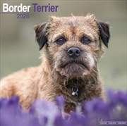 Buy Border Terrier Calendar 2026 Square Dog Breed Wall Calendar - 16 Month