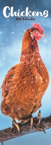 Buy Chickens Slim Calendar 2026 Bird Slimline Calendar - 12 Month