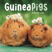 Buy Guinea Pigs Square Mini Calendar 2026