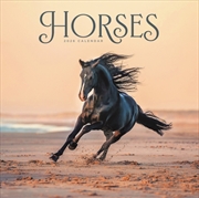 Buy Horses Wiro Wall Calendar 2026