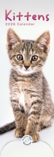 Buy Kittens Slim Calendar 2026