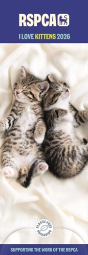 Buy Rspca I Love Kittens Slim Calendar 2026