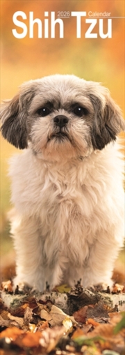 Buy Shih Tzu Slim Calendar 2026 Dog Breed Slimline Calendar - 12 Month
