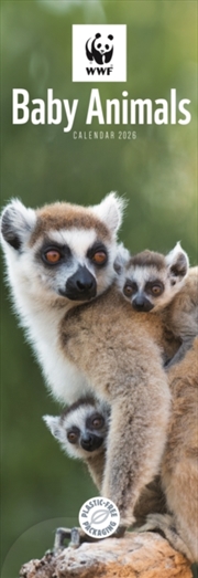 Buy Wwf Baby Animals Slim Calendar 2026