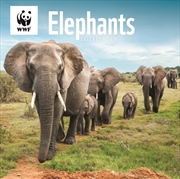 Buy Wwf Elephants Square Wall Calendar 2026