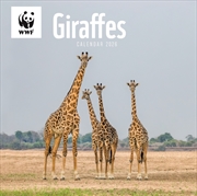 Buy Wwf Giraffes Square Wall Calendar 2026