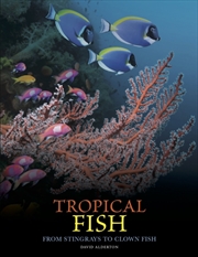 Buy Tropical Fish: From Stingrays To Clown Fish