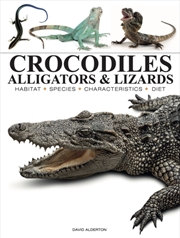 Buy Crocodiles, Alligators & Lizards