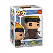 Buy Home Alone 2: Lost in New York - Harry Pop! Vinyl