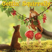 Buy Gettin' Squirrelly 2026 12 X 12 Wall Calendar
