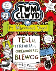 Buy Twm Clwyd: 11. Fy Mhrosiect Ysgol