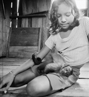 Buy The Enchanted Ones