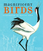 Buy Magnificent Birds