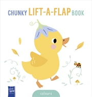 Buy Baby'S Chunky Lift-The-Flap: Colours