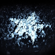 Buy Everything Every Single Day