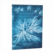 Buy Sea Flowers (Anna Atkins  Cyanotypes) Midi Lined Softcover Flexi Journal (Elastic Band Closure)
