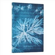Buy Sea Flowers (Anna Atkins  Cyanotypes) Mini Lined Softcover Flexi Journal (Elastic Band Closure)