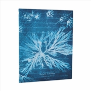 Buy Sea Flowers (Anna Atkins  Cyanotypes) Ultra Unlined Softcover Flexi Journal (Elastic Band Closure)