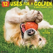 Buy 12 Uses For A Golden 2026 12 X 12 Wall Calendar