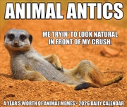 Buy Animal Antics 2026 5.4 X 6.2 Box Calendar
