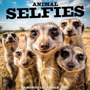 Buy Animal Selfies 2026 12 X 12 Wall Calendar