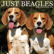 Buy Beagles 2026 12 X 12 Wall Calendar