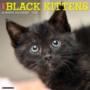 Buy Black Kittens 2026 12 X 12 Wall Calendar