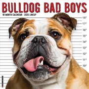 Buy Bulldog Bad Boys 2026 12 X 12 Wall Calendar