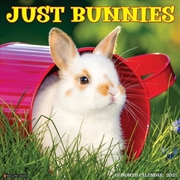 Buy Bunnies 2026 12 X 12 Wall Calendar