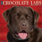 Buy Chocolate Labs 2026 12 X 12 Wall Calendar