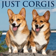 Buy Corgis 2026 12 X 12 Wall Calendar