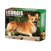Buy Corgis 2026 5.4 X 6.2 Box Calendar