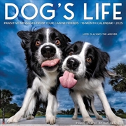 Buy Dog'S Life 2026 12 X 12 Wall Calendar