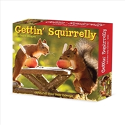 Buy Gettin' Squirrelly 2026 5.4 X 6.2 Box Calendar