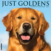 Buy Goldens 2026 12 X 12 Wall Calendar