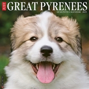 Buy Great Pyrenees 2026 12 X 12 Wall Calendar